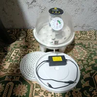 فروش دستگاه جوجه کشی بدون ارسال|حیوانات مزرعه|عسلویه, |دیوار