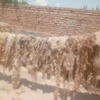 لحاف تشک اماده|رختخواب، بالش، پتو|مرند, |دیوار