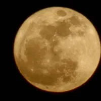 راننده پایه یک سرویس بر اتوبوس اشنا به ۴۵۷ شهری