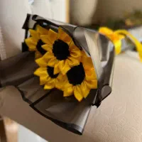 گل های جذاب روبانی شاخه ۱۵