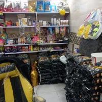 پت شاپ منافی نسیم شهر