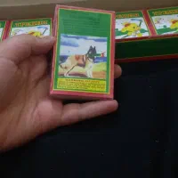 ترقه سیگارت|اسباب‌‌بازی|شوشتر, |دیوار