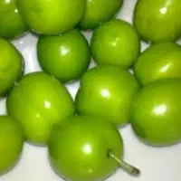 گوجه سبز فروش فوری