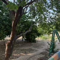 فروش باغ|فروش زمین و ملک کلنگی|رباط‌کریم, رباط‌کریم|دیوار