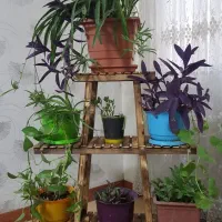 استند گلدان مدرن شیک
