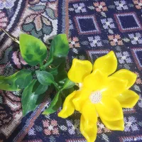 سلام دوتاگلدان کنار سالن و28شاخه گل کریستالی دارم