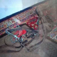 زین اسب|اسب و تجهیزات اسبسواری|کاشان, کوشک صفی|دیوار