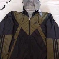 عروس هلندی|پرنده|سرپل ذهاب, |دیوار