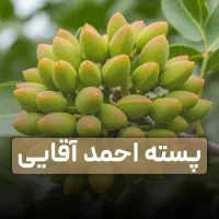 با خرید ۱۰۰ نهال، ۱۰ نهال هدیه رایگان دریافت کنید