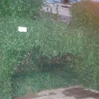 منزل ویلایی