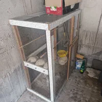 قفس پرنده