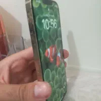 اپل iPhone 13 Pro Max با حافظهٔ ۲۵۶ گیگابایت|موبایل|تهران, والفجر (افسریه)|دیوار
