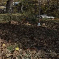 باغ میوه 1000متری روستای خاکو