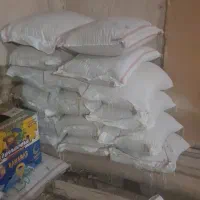 گندم بذری رقم باران