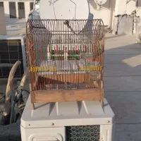 قفس دست بافت
