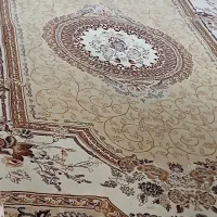 فرش ۶ متری ۷۰۰ شانه   در فومن