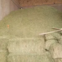 پرس یونجه|خدمات باغبانی و درختکاری|سیاهکل, |دیوار