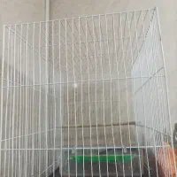 قفس پرنده با تمام لوازم