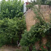 فروش زمین ۶۰ متری در جماران|فروش زمین و ملک کلنگی|رشت, جماران|دیوار