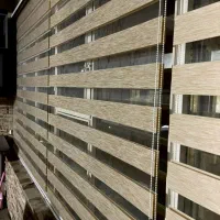 زبرا کرم رنگ