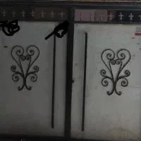 در حیاط سالم