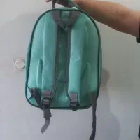 کوله پشتی حمل پت