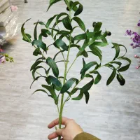 شاخه زیتون وارداتی میوه دار|گل مصنوعی|فردیس, فردیس|دیوار