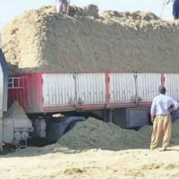 کاه باگاس|خدمات باغبانی و درختکاری|نیشابور, مازول|دیوار