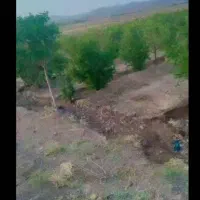 باغ میوه فروشی|فروش دفتر صنعتی، کشاورزی، تجاری|تربتحیدریه, پائین ولایت|دیوار