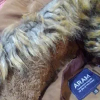 دوعددکاپشن دخترانه و پسرانه قهوه ای وصورتی|کفش و لباس بچه|میاندوآب, |دیوار