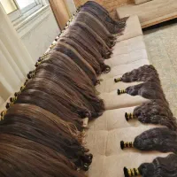 خریدار اصلی مو و بدون واسطه