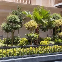 خدمات‌ حرفه ای باغبانی،باغچه‌کاری،تعویض‌خاک‌گلدان|خدمات باغبانی و درختکاری|تهران, زرگنده|دیوار