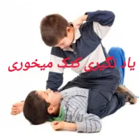باشگاه آموزش دفاع شخصی  (دیگه نزار  بهت زور بگن)|خدمات آموزشی|یزد, |دیوار