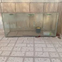 آکواریوم سالم