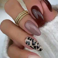 ارائه مدارک مدرسی و مربی گری بدون آموزش