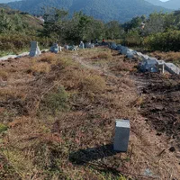 فروش زمین 356 متر مسکونی ویو ابدی روستای لولاک|فروش زمین و ملک کلنگی|زیرآب, |دیوار