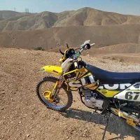 تریل بهرو سالم