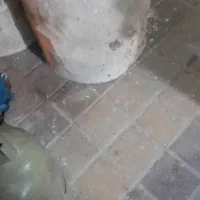 مقداری پول با کیف پیدا شده