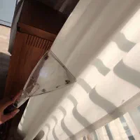 مبل شویی پرده شویی تشک.. درمنزل|خدمات نظافت|لنده, |دیوار