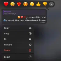 معلم خصوصی زبان انگلیسی|خدمات آموزشی|مشهد, گوهرشاد|دیوار