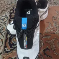 کفش اسپورت