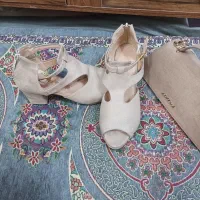 کفش مجلسی با کیف|کیف، کفش، کمربند|شهرضا, |دیوار