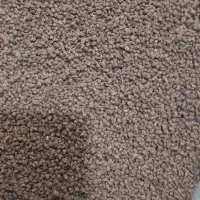 چایی کله مورچه عراقی فروش عمده