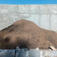 پوش گوسفندی|گل و گیاه طبیعی|قائم‌شهر, |دیوار