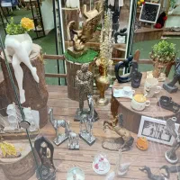 دکور چوب روس|کتابخانه، شلف، قفسههای دیواری|مشهد, ولیعصر (شهرک غرب)|دیوار