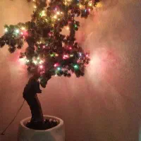 درختچه کاج مصنوعی