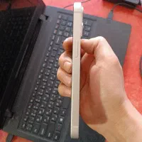 آیفون ۱۳ نرمال|موبایل|تربت جام, علوی|دیوار