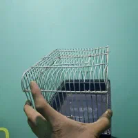 تعدادی قفس چوبی تله|لوازم جانبی حیوانات|رباط‌کریم, رباط‌کریم|دیوار