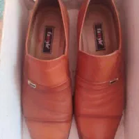 کفش تبریز|کیف، کفش، کمربند|جلفا, |دیوار