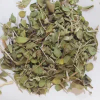 آویشن شیراز بسیار تمیز بدون ناخالصی|خوردنی و آشامیدنی|شیراز, باهنر|دیوار